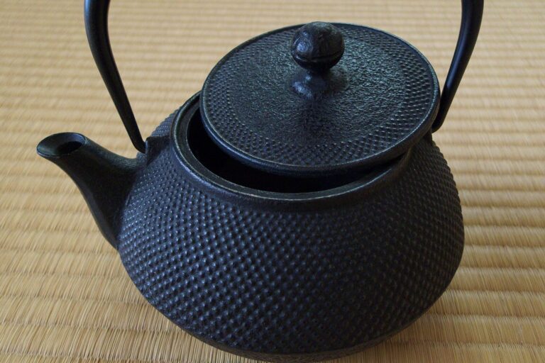 Schwarze japanische Gusseisen-Teekanne mit Hagelmuster auf einer Tatami-Matte