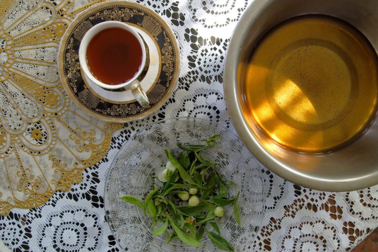 Tasse Darjeeling-Tee neben Schalen mit verschiedenen losen Teesorten und frischen Teeblättern